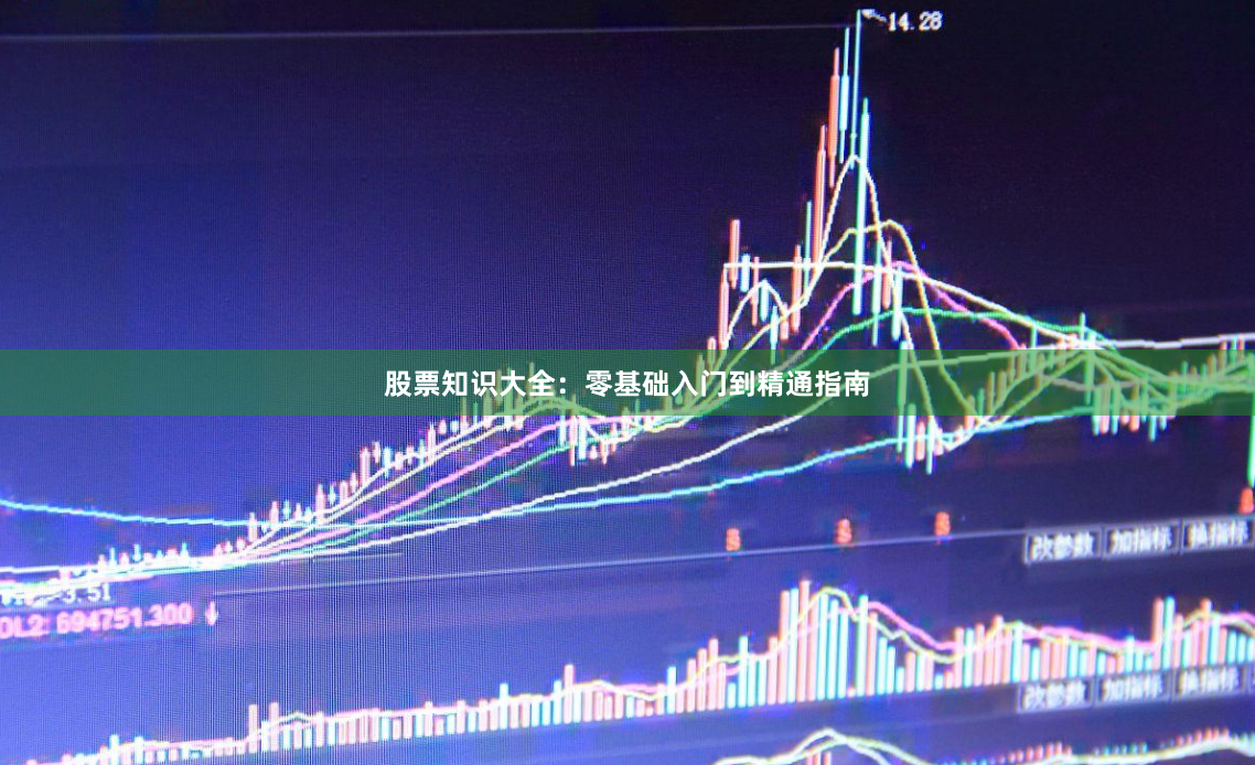 股票知识大全：零基础入门到精通指南